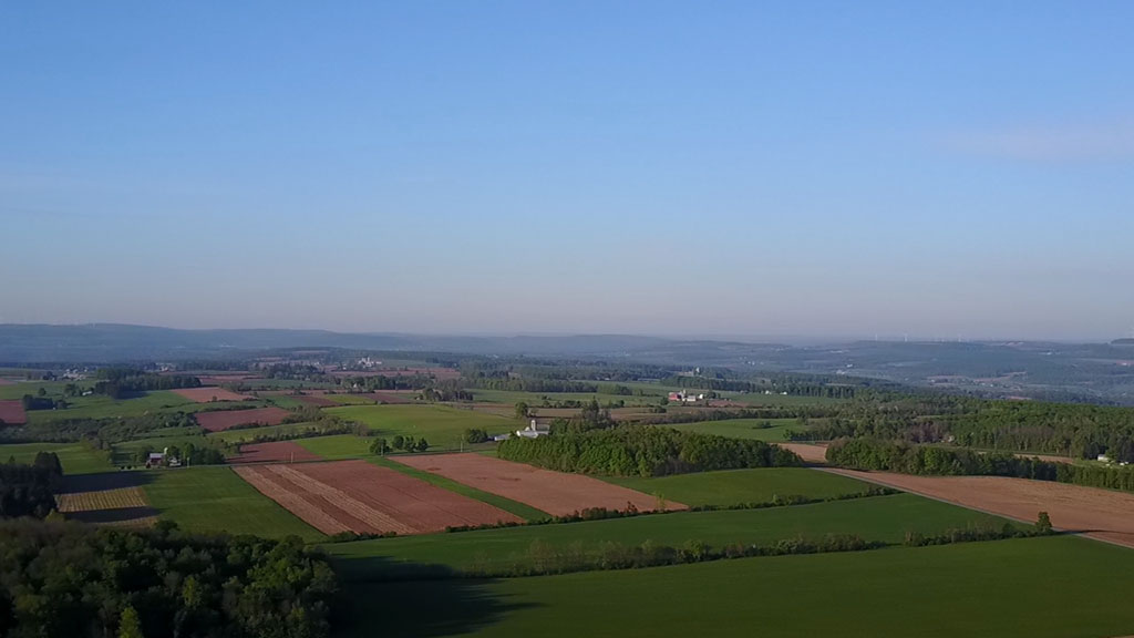 Spring Time - Farm Fields