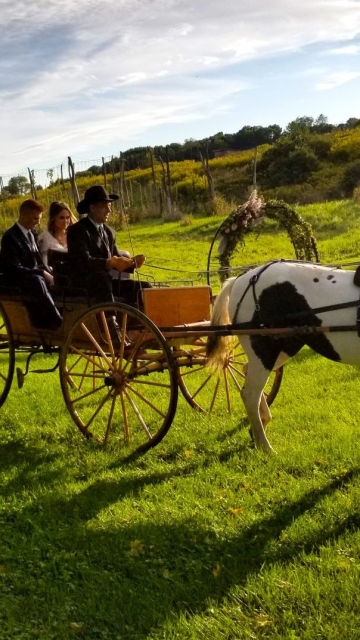Bride and Groom, Horse and Carriage Moving