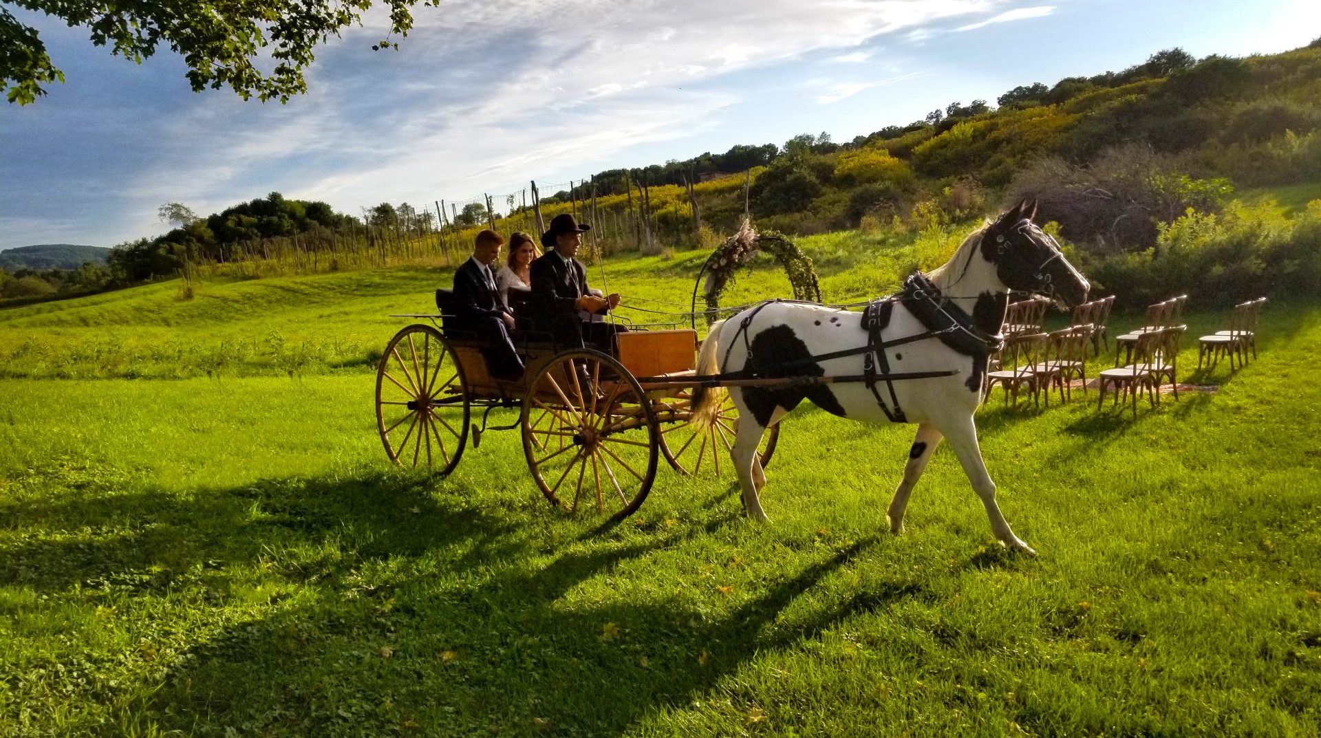 Bride and Groom, Horse and Carriage Moving