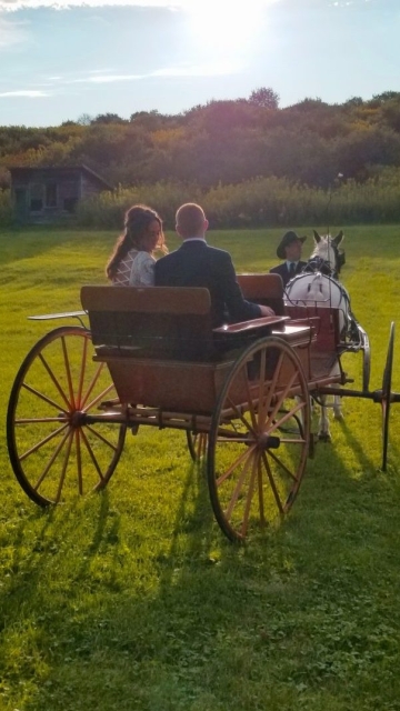 Bride and Groom, Horse and Carriage Into The Sun