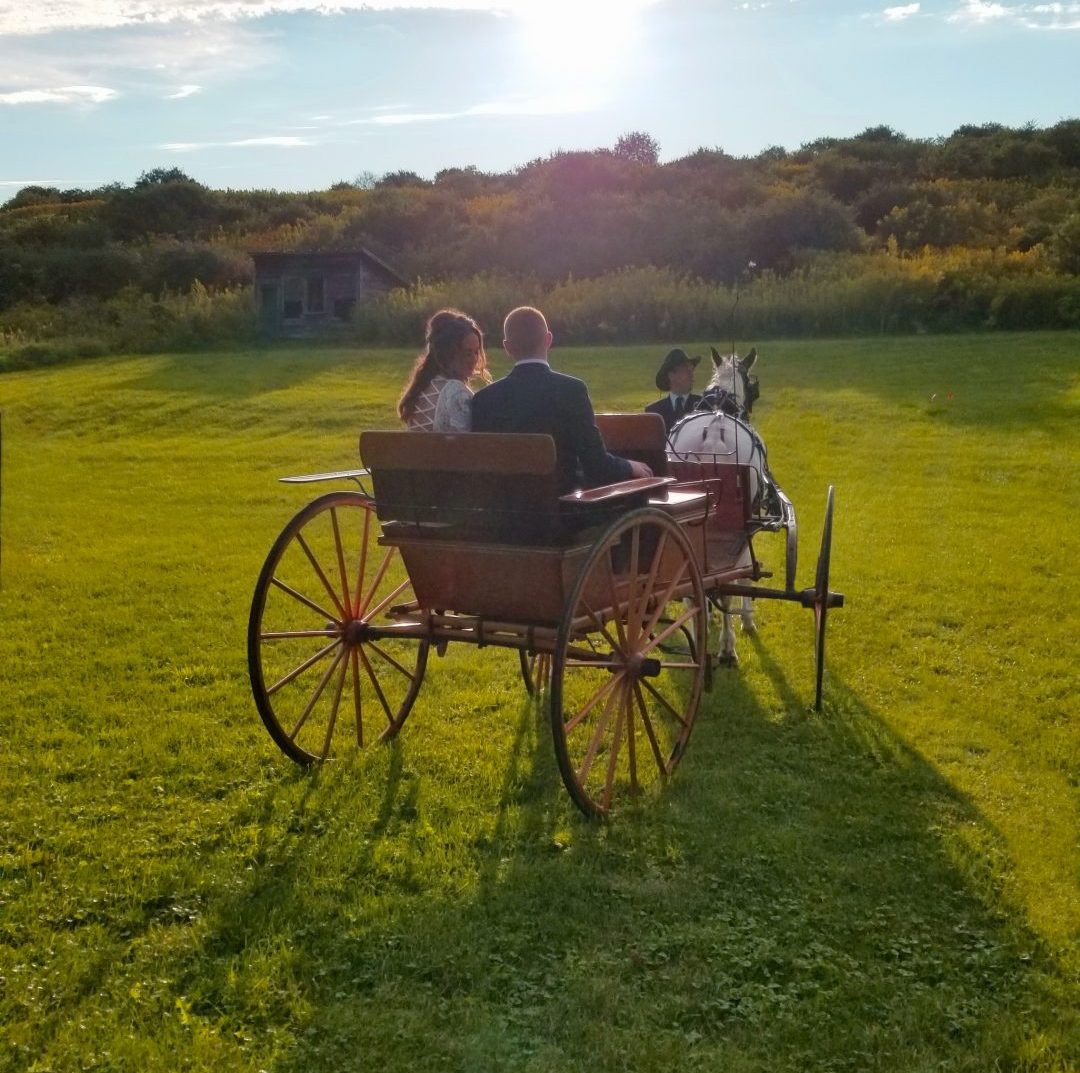 Bride and Groom, Horse and Carriage Into The Sun