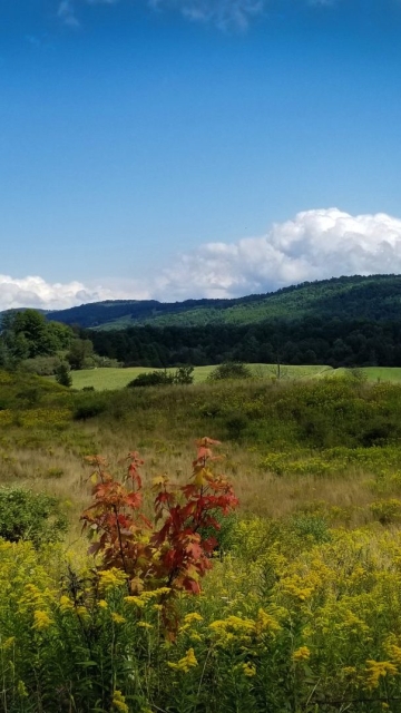 Farm Field Backdrop