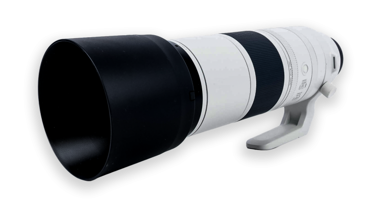 Canon RF 200-800mm f/6.3-9 IS USM